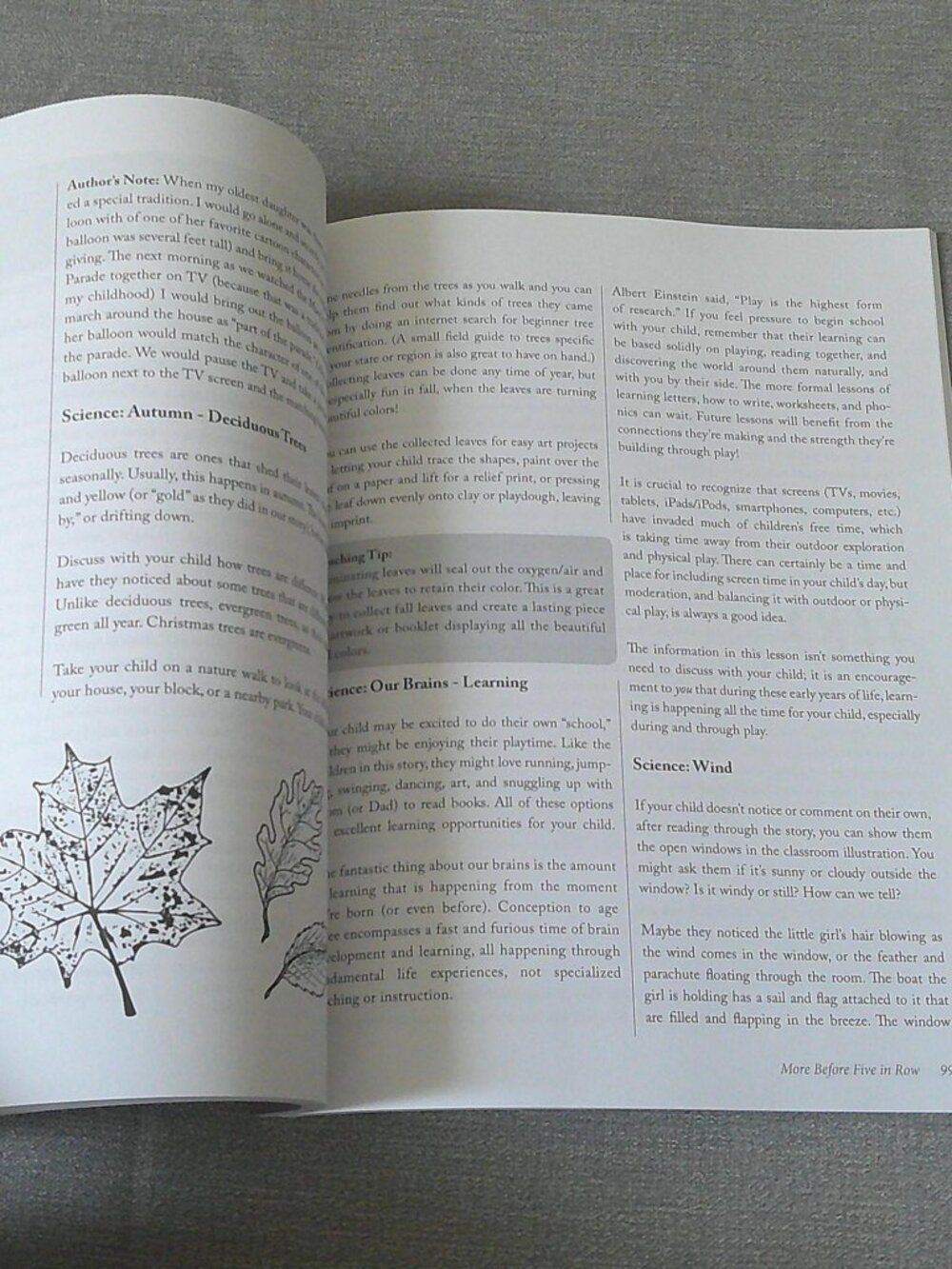 More Before Five in a Row Homeschool Curriculum for Ages 3-5 by Carrie Bozeman - Picture 6 of 7